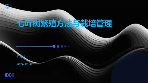 七叶树繁殖方法与栽培管理