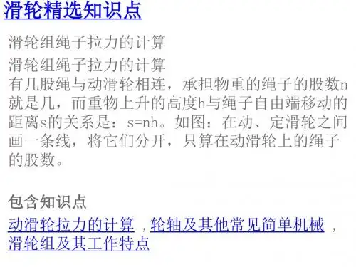 滑轮精选知识点和习题完整版
