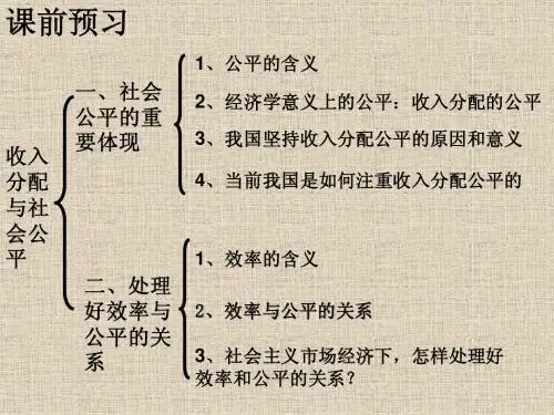 收入分配与社会公平