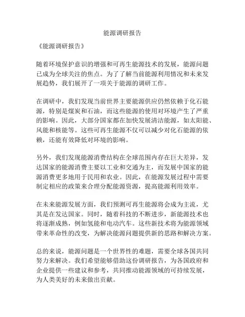 能源调研报告