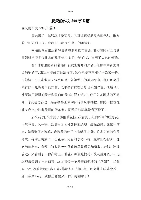 夏天的作文500字5篇