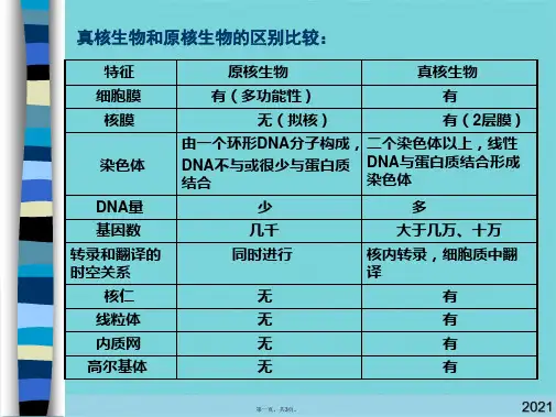 真核生物和原核生物的区别比较(与“蛋白质”有关的文档共3张)