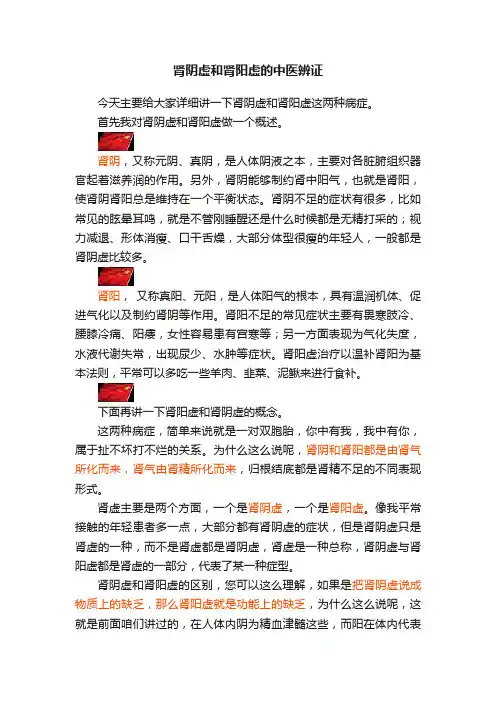 肾阴虚和肾阳虚的中医辨证