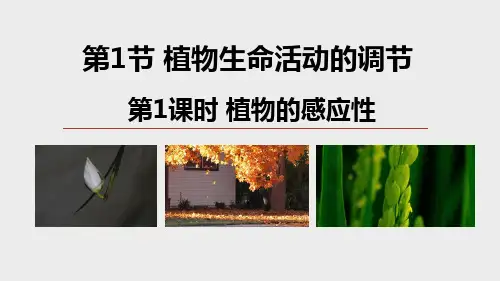 植物生命活动的调节第1课时(PPT课件(初中科学)27张)