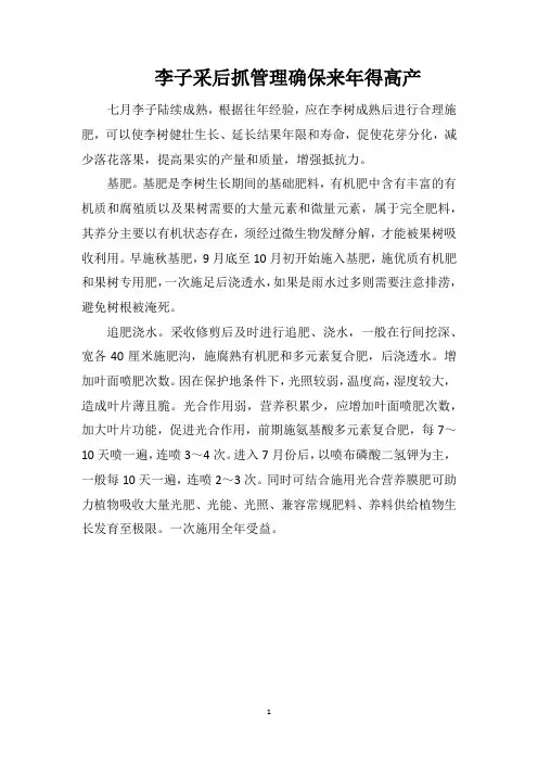 李子采后抓管理确保来年得高产
