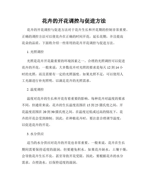 花卉的开花调控与促进方法