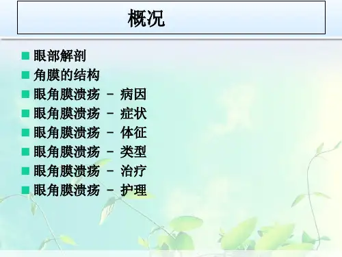 角膜溃疡的治疗护理ppt课件