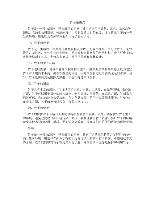 竹子知识点