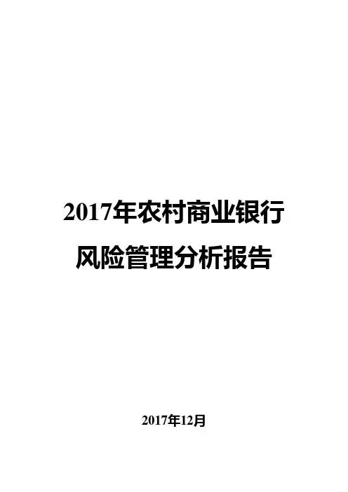 2017年农村商业银行风险管理分析报告