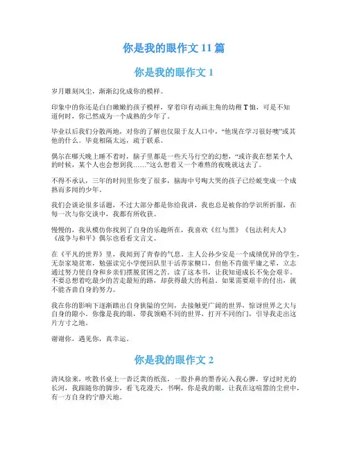 你是我的眼作文11篇