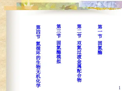 第六章固氮作用及其化学模拟ppt课件