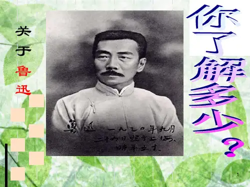 社戏-优秀课件共45页.ppt