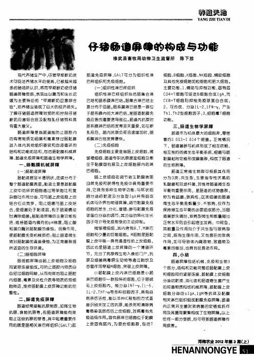 仔猪肠道屏障的构成与功能
