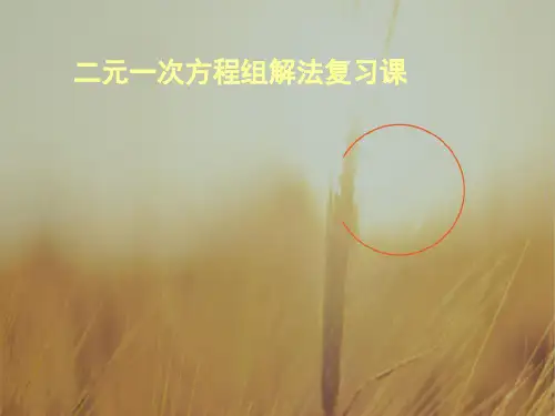 初一数学最新课件-第四章复习浙教版 精品