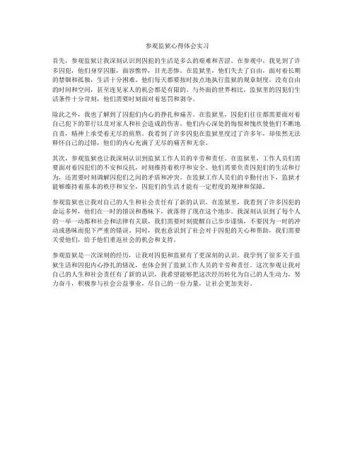参观监狱心得体会实习
