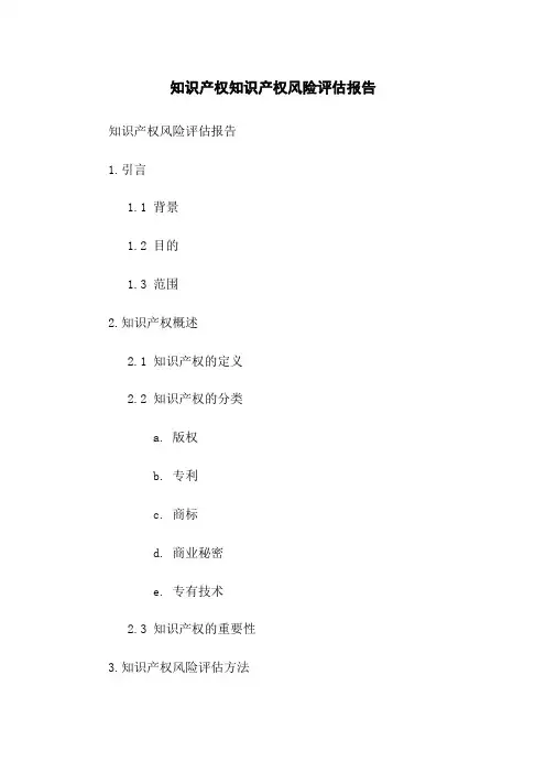 知识产权知识产权风险评估报告