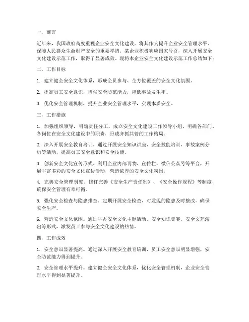 文化安全示范工作总结
