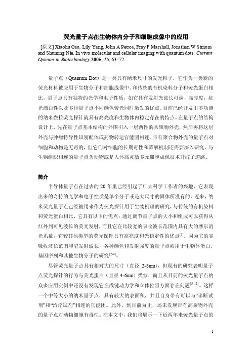 荧光量子点——精选推荐