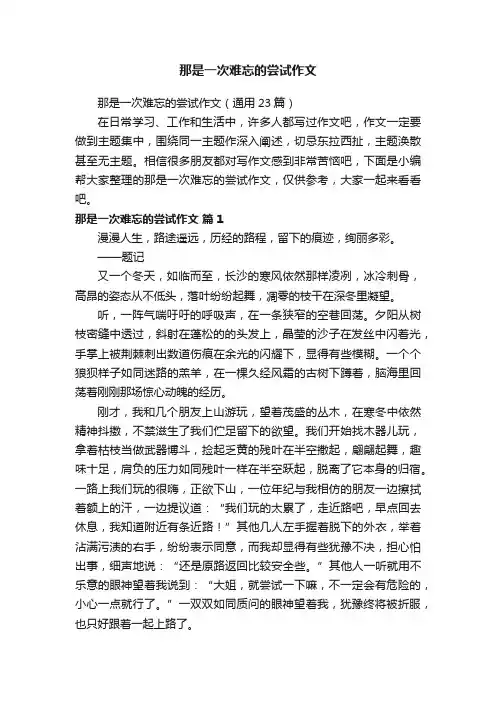 那是一次难忘的尝试作文