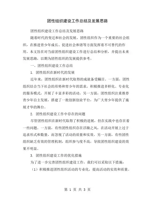 团性组织建设工作总结及发展思路