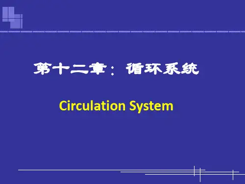 心脏以及循环系统的进化