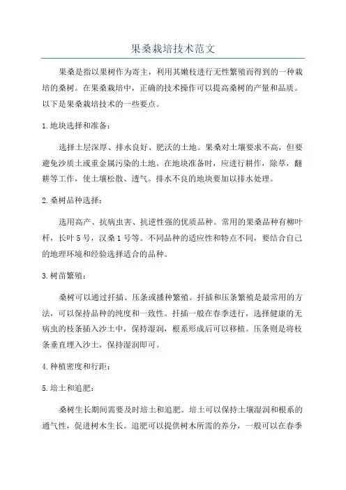果桑栽培技术范文