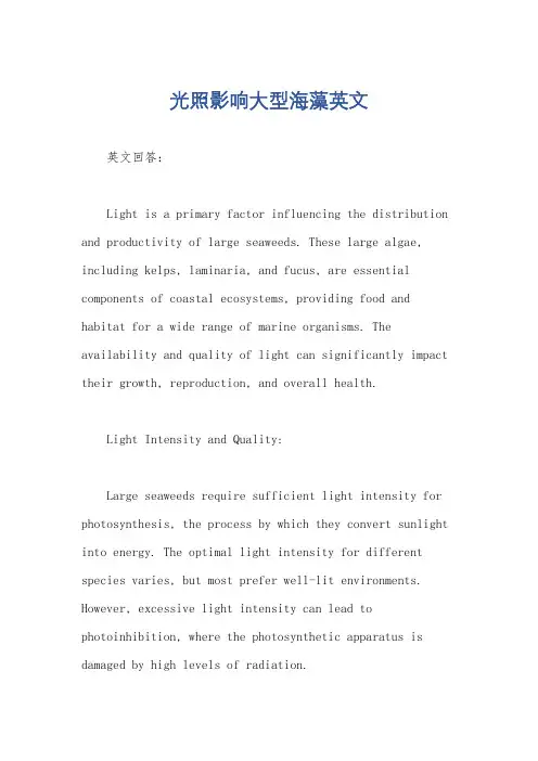 光照影响大型海藻英文