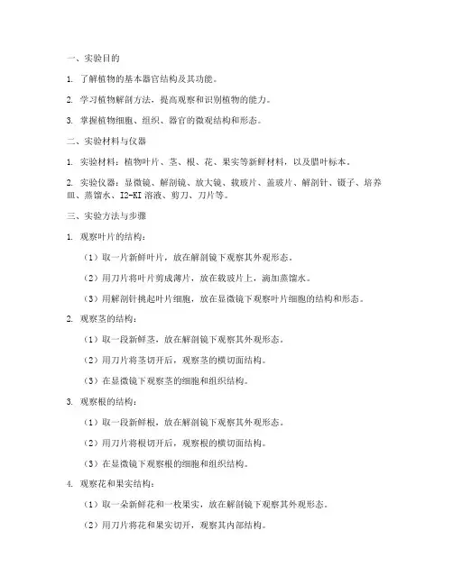 植物解剖观察实验报告