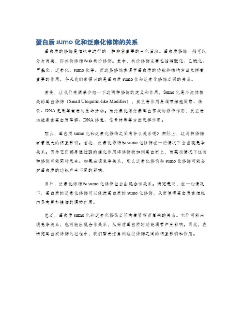蛋白质sumo化和泛素化修饰的关系
