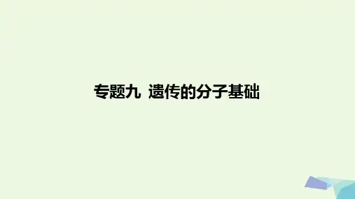 2018届高考生物一轮复习专题09遗传的分子基础含17高考真题及解析课件