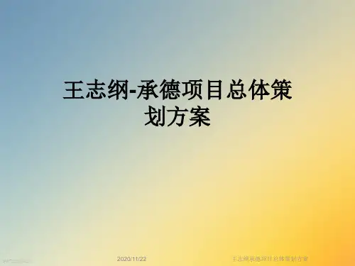 王志纲承德项目总体策划方案