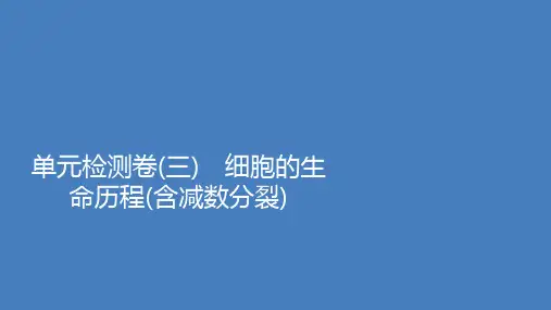 2021届高考生物专题第一部分单元检测卷三细胞的生命历程含减数分裂含解析课件