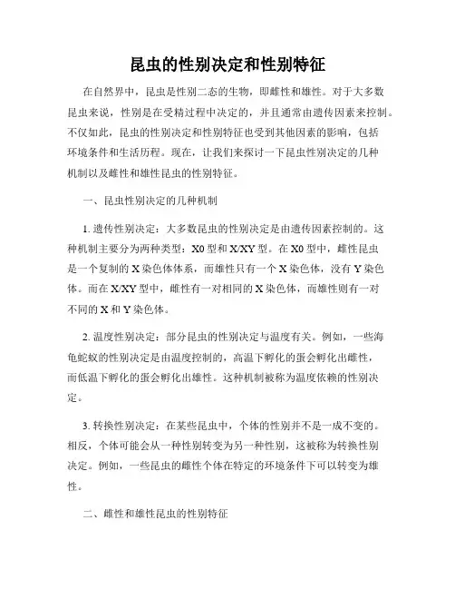 昆虫的性别决定和性别特征