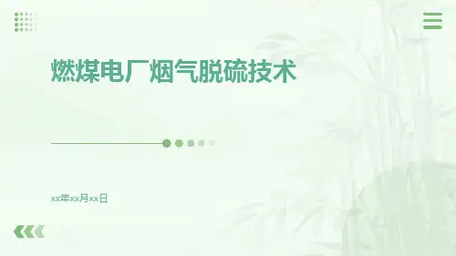 燃煤电厂烟气脱硫技术