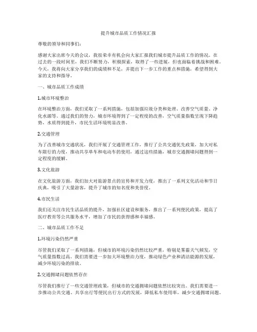 提升城市品质工作情况汇报