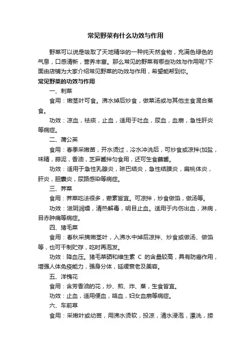 常见野菜有什么功效与作用