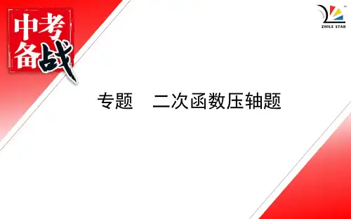 中考数学 压轴题 河南·专题：二次函数压轴题