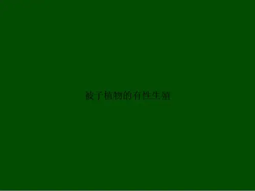 被子植物的有性生殖