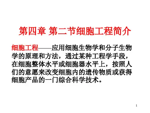 第四章 第二节细胞工程简介PPT课件