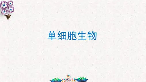 单细胞生物七年级生物优质课件(人教版)