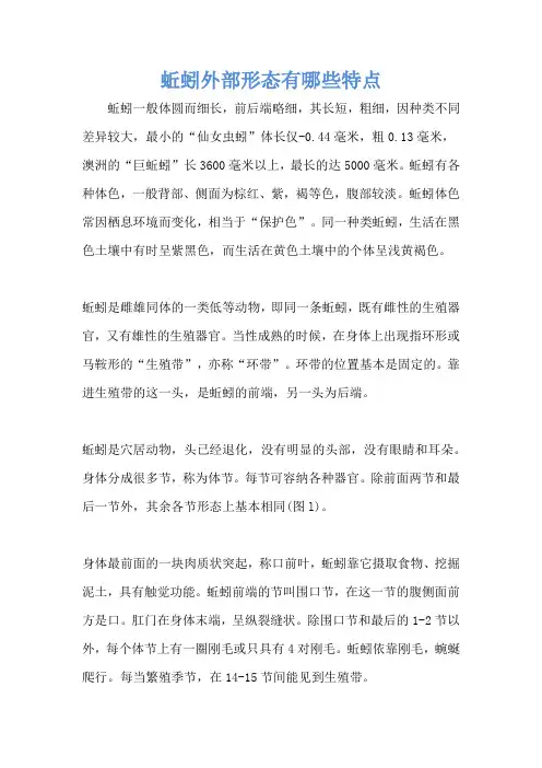 蚯蚓外部形态有哪些特点