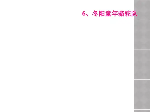 6冬阳童年骆驼队