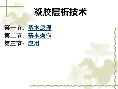 凝胶层析