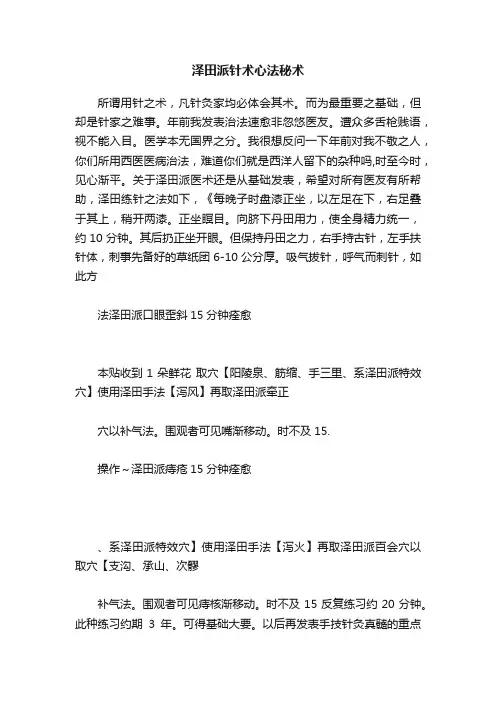 泽田派针术心法秘术