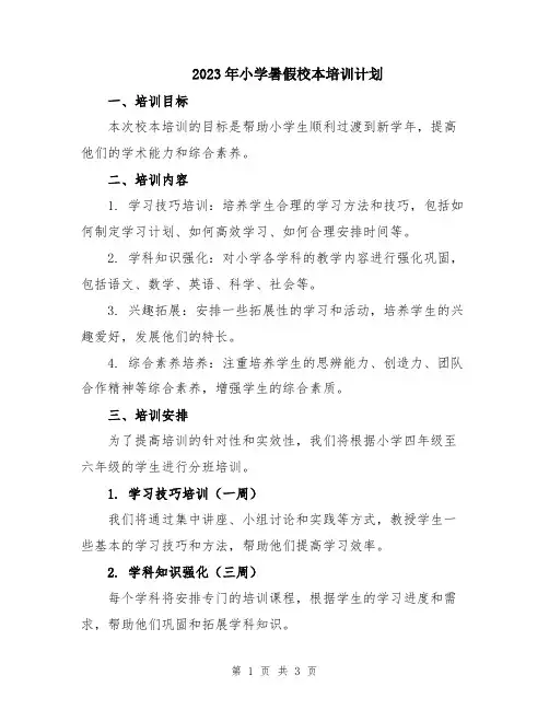 2023年小学暑假校本培训计划