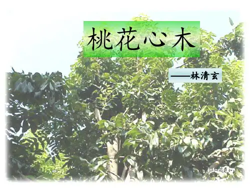 3桃花心木PPT课件