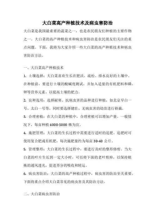 大白菜高产种植技术及病虫害防治