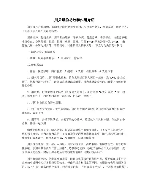 川贝母的功效和作用介绍