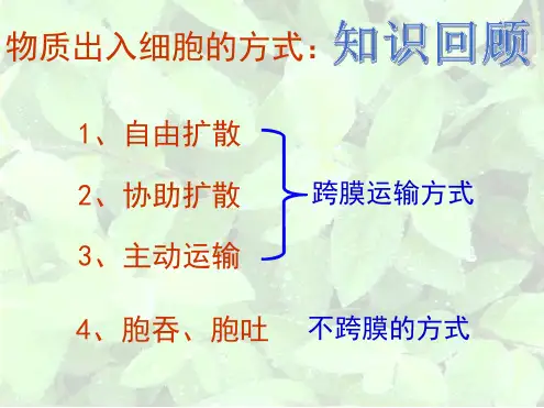 物质跨膜运输的方式及影响因素