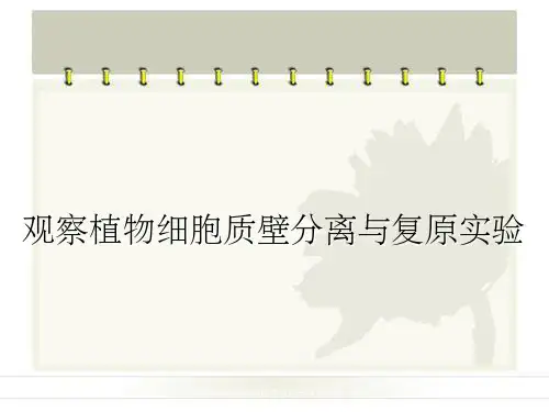 观察植物细胞质壁分离与复原实验